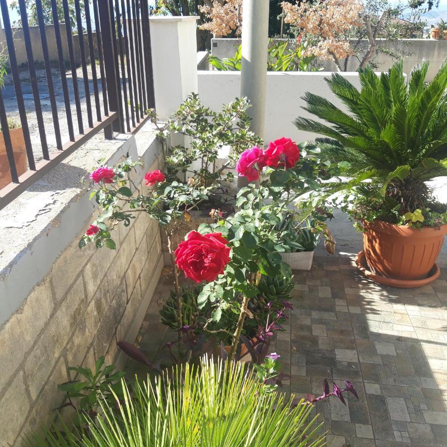 Il Pergolato Villa มาเตรา ภายนอก รูปภาพ