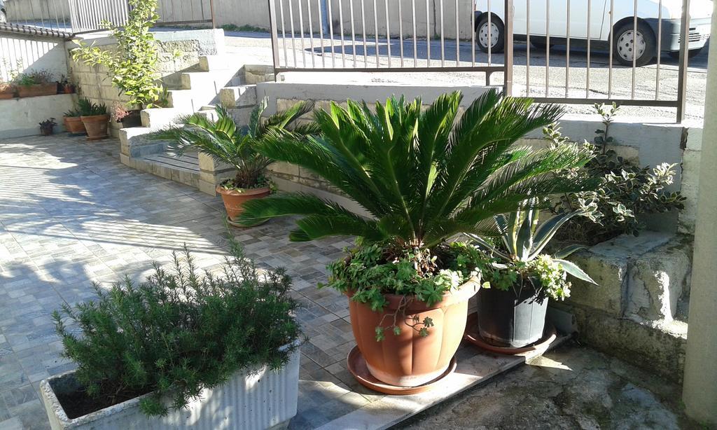 Il Pergolato Villa มาเตรา ภายนอก รูปภาพ